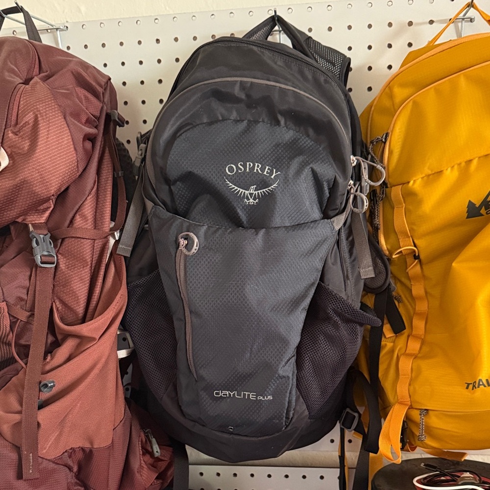 Osprey Gray Daylite Plus Backpack